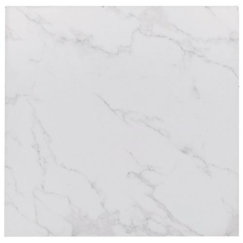 Carrara Porcelain